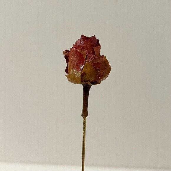 Vintage Dried Rose Bud Lapel Stick Pin - Picture 6 of 13